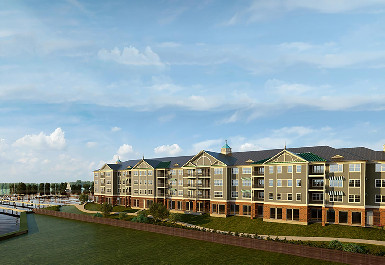 141.jpg?t=1765790478