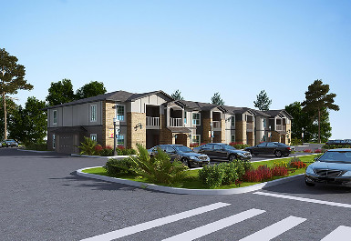 161.jpg?t=1772380670