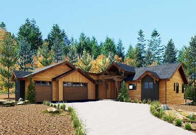 175.jpg?t=1773492753