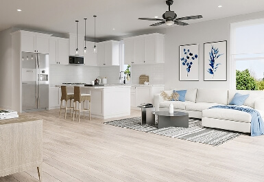 236.jpg?t=1764535699