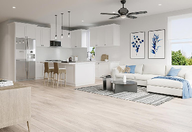 236.jpg?t=1775765786