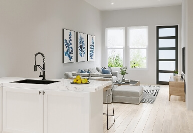 243.jpg?t=1762748671