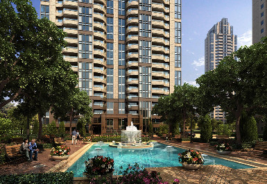 255.jpg?t=1768481565