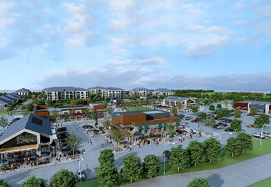 260.jpg?t=1772380799